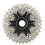 Shimano Shimano Ultegra Cs-R8101 12-Speed Cassette 11 - 34T