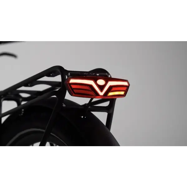 Tenways CGO800S Rear Light