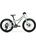 Merida Matts J.20+ Kids Bike