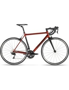 Stevens Stevens Stelvio Road Bike  Red