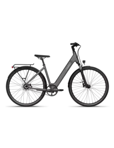 Tenways Bikes Tenways CGO-800S Single Speed Electric Bike with Belt Drive System 2025