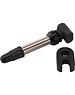 DT Swiss DT Swiss Tubeless Valve Silver