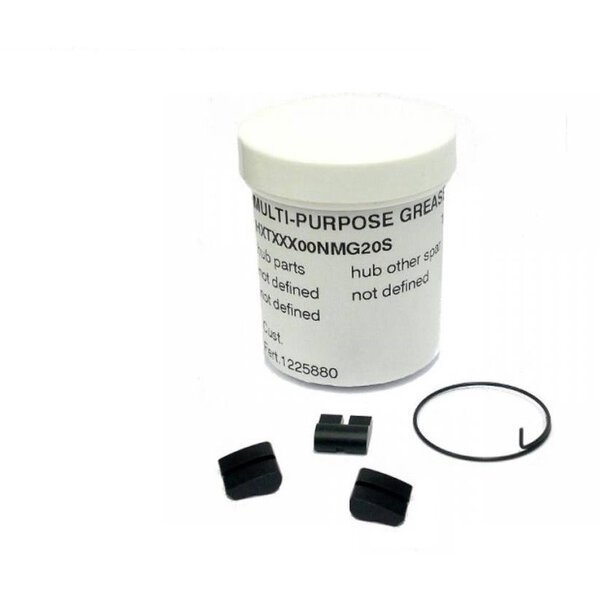 DT Swiss DT Swiss Service Kit For 3 - Pawl Freehubs