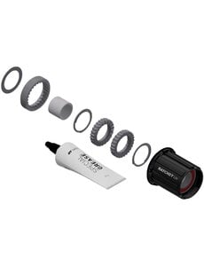 DT Swiss DT Swiss Ratchet LN conversion kit for 3-Pawl hubs