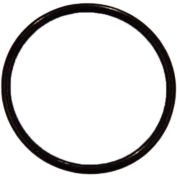 DT Swiss DT Swiss O-Ring 23 X 1.5 mm For DT Swiss Rear Shock