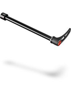 DT Swiss DT Swiss RWS For Shimano E-Thru (Alloy) &Oslash; 12 mm / 142 mm With Aluminium Lever