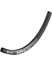 DT Swiss DT Swiss RR 421 asymmetric DB SBWT Rims Presta-drilled disc brake black