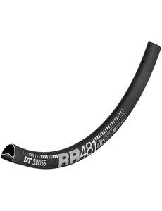 DT Swiss DT Swiss RR 481 DB SBWT Rims Presta-drilled disc brake black