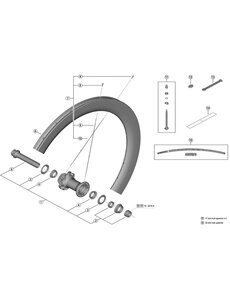 Shimano Shimano Spares WH-R9270-C60-HR-TL-F right hand spoke, 248 mm