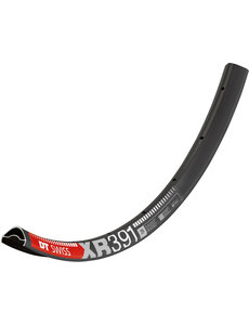 DT Swiss DT Swiss XR 391 SBWT disc-specific Rims Presta-drilled black