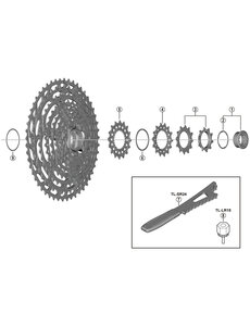 Shimano Shimano Spares CS-M9100 sprocket wheel, 10T and 12T