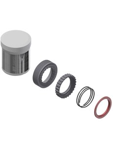 DT Swiss DT Swiss Service / Upgrade Kit For Ratchet EXP Hubs 54 Teeth