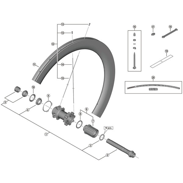 Shimano Shimano Spares WH-R8170-C60-TL-R left hand spoke, 244 mm