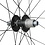 Shimano Shimano GRX WH-RX880  700C Wheel, 12-Speed Micro Spline, 12x142mm, Center Lock Disc, Rear