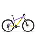 Stevens Stevens Team RC 27.5 Gen.2 Kids Bike