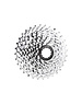  SRAM PG1050 10 Speed Cassette