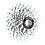 SRAM PG1070 10 Speed Cassette