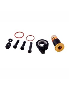  Sram Spare - Rear Derailleur B-Bolt and Limit Screw Kit XX1 Eagle Gold Hex5: GOLD