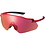 Shimano Shimano Equinox Glasses