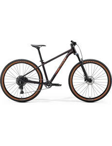 Merida Merida Big Nine 40 Mountain Bike