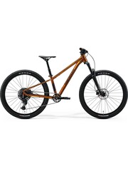Merida Merida Matts J.Champion Kids Bike 26w- Wild Honey (Black