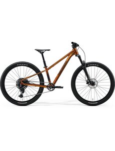 Merida Merida Matts J.Champion Kids Bike 26w- Wild Honey (Black) - MY26