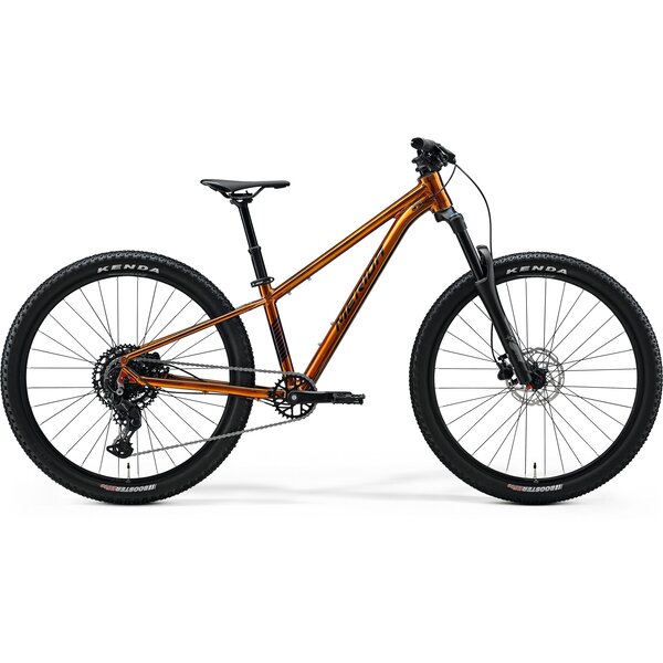 Merida Merida Matts J.Champion Kids Bike - Wild Honey (Black) - MY26