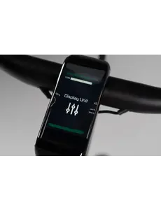 Tenways Bikes Tenways spare part: Tenways CGO 800s Display Screen