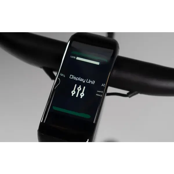 Tenways Bikes Tenways spare part: Tenways CGO 800s Display Screen