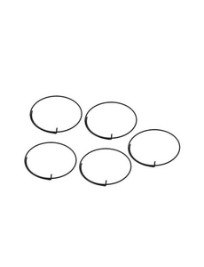 Campagnolo Campagnolo/Fulcrum Wrap Round Freehub Pawl Springs FH-RE114