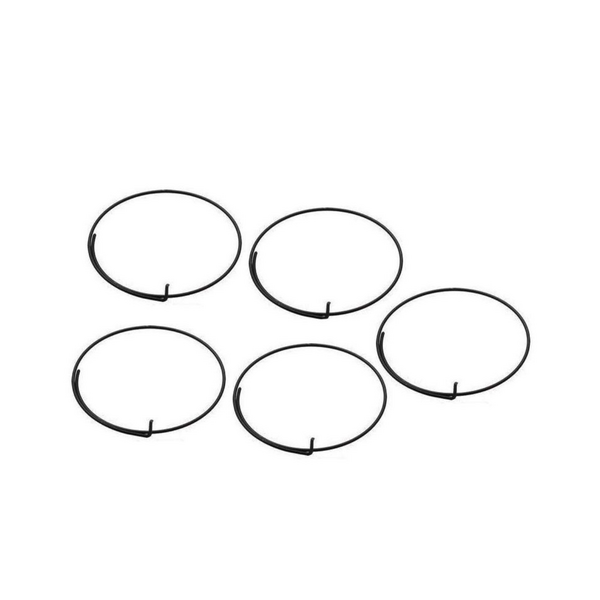 Campagnolo Campagnolo/Fulcrum Wrap Round Freehub Pawl Springs FH-RE114