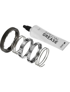 DT Swiss DT Swiss 60 Tooth Hybrid DEG DF Upgrade Kit for Ratchet DEG hubs