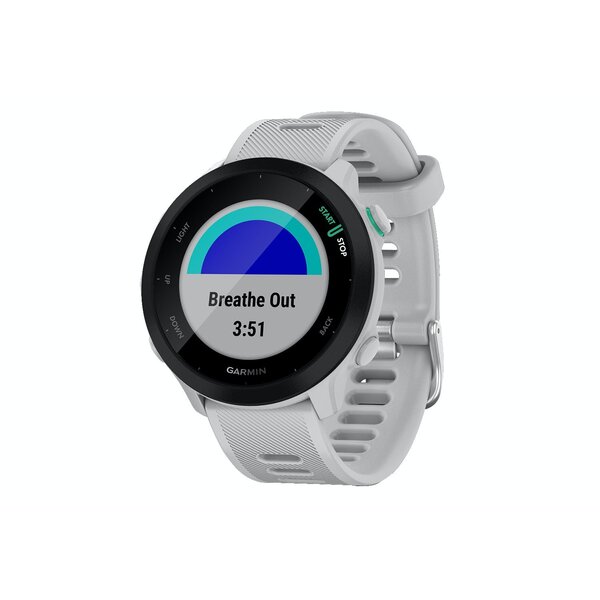 Garmin Forerunner 55, GPS, EU