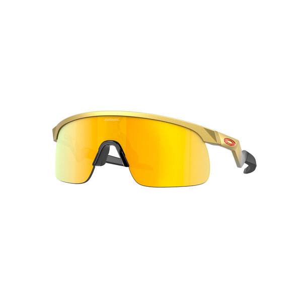 Oakley Oakley Youth Sun, Resistor