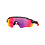 Oakley Oakley, Radar Ev Path