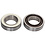 Campagnolo WHEEL BEARING CAMPAGNOLO HUB SERV KIT HB-RE100