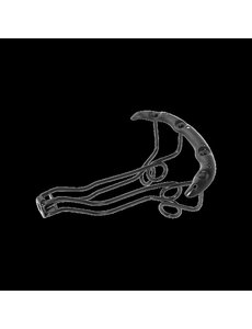 Brooks Brooks Bracket & Backplate Assembly BYB276 Saddle Spare