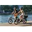 TERN Vektron P5i Gen3 Electric Folding Bike Urban Verdant Grey (Chameleon)