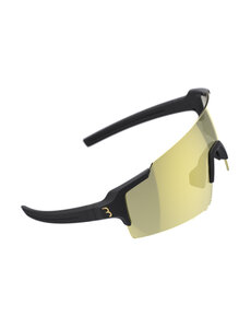  BBB BSG-70PH - FullView Sport Glasses (Mt Blk, Gold MLC PH Lens)