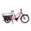 Yuba Yuba Spicy Curry Family Edition Electric Cargo Bike