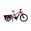 Yuba Yuba Spicy Curry Electric Cargo