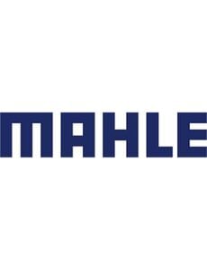  MAHLE Bearing Kit DUB Wide, B30+D29W+OR