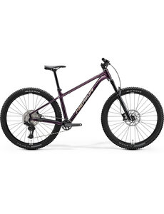 Merida Merida Big Trail 600 Mountain Bike MY27