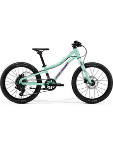 Merida Merida Matts J.20+ Kids Bike MY27