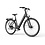 Tenways Tenways CGO800S Single Speed Electric Bike with Belt Drive System