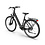 Tenways Tenways CGO800S Single Speed Electric Bike with Belt Drive System