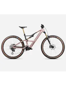 Orbea Orbea Rise Sl M-Ltd 630W Electric Mountain Bike