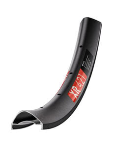 DT Swiss DT Swiss XR 421 SBWT disc-specific 28 hole Presta-drilled black - 29inch