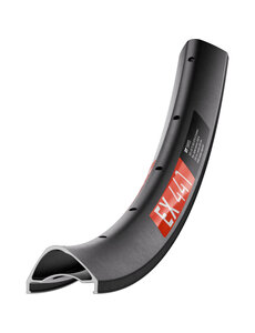 DT Swiss DT Swiss EX 441 SBWT disc-specific Presta-drilled black - 27.5inch