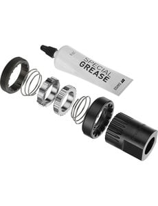 DT Swiss DT Swiss Ratchet DF Upgrade Kit for Ratchet and Ratchet LN hubs, with tool